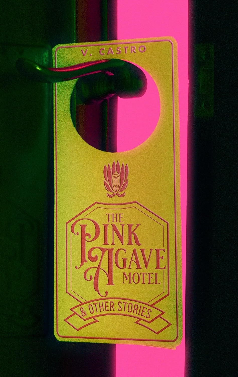 The Pink Agave Motel and Other Stories by V Castro