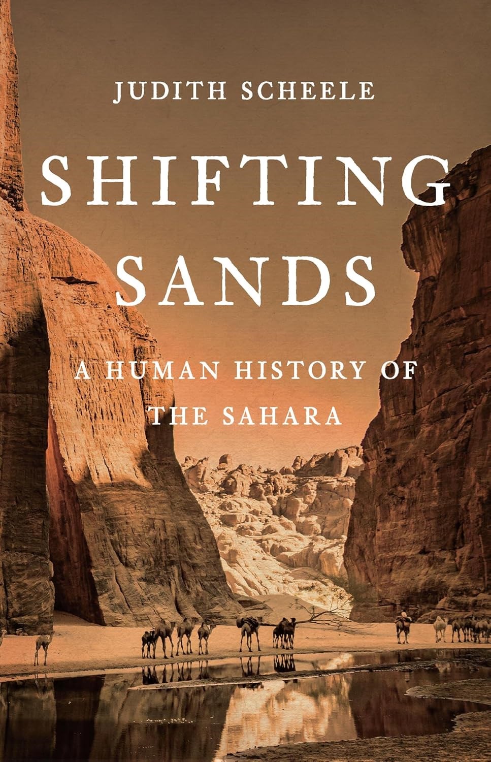 Shifting Sands A Human History of the Sahara by Judith Scheele