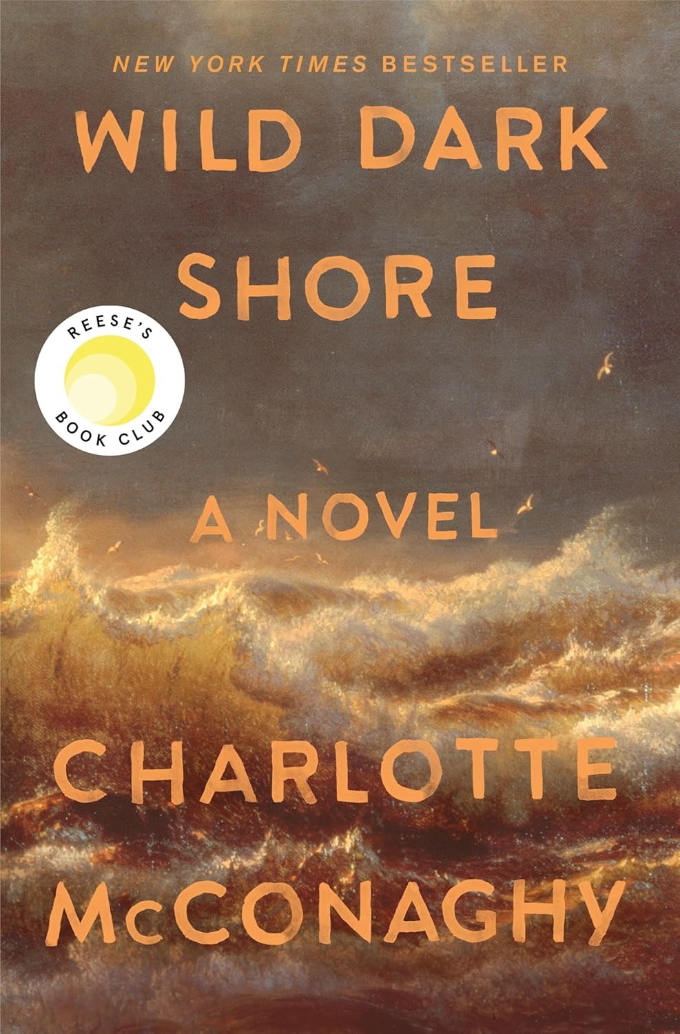 Wild Dark Shore by Charlotte McConaghy