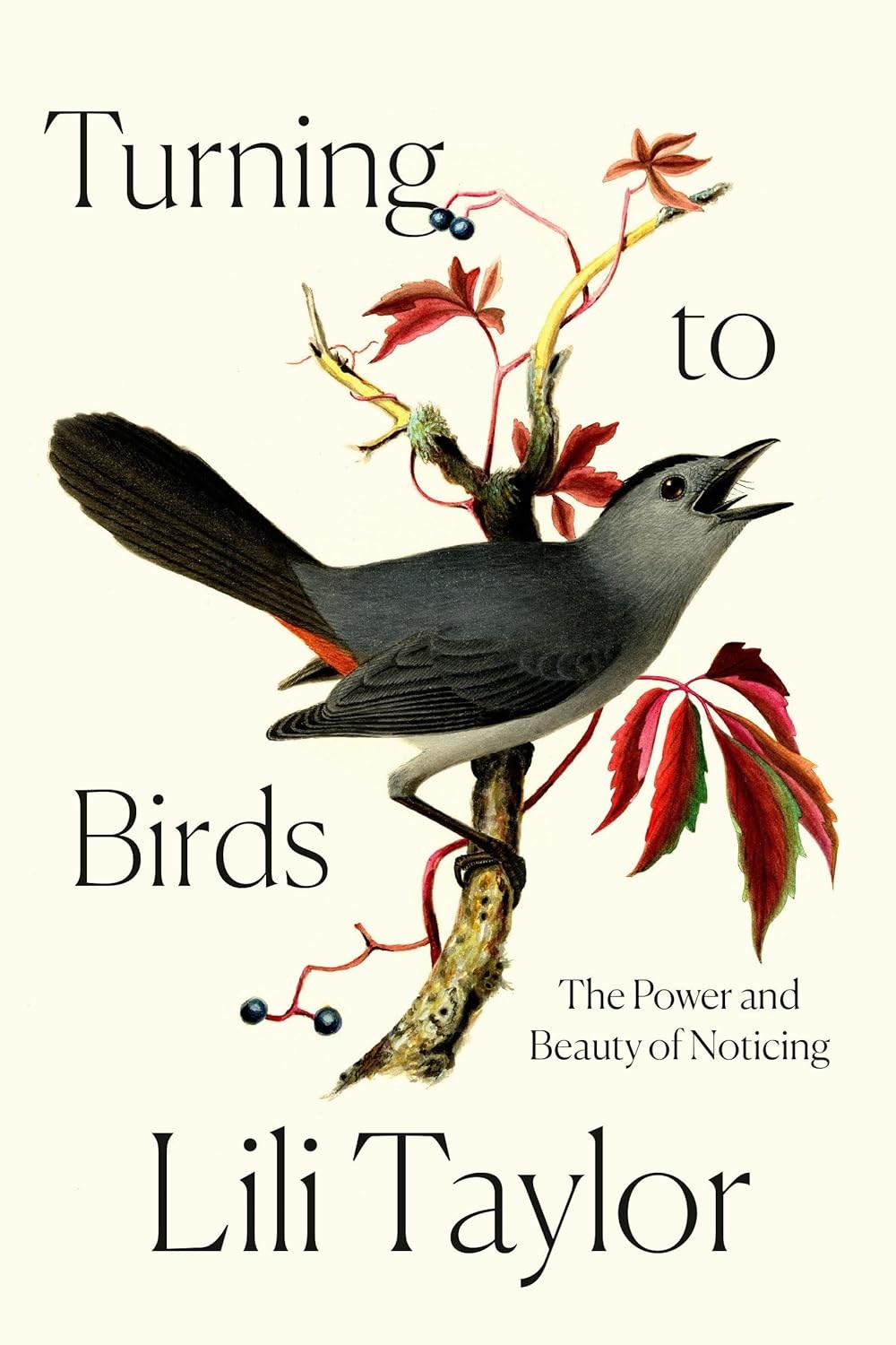 Turning to the Birds by Lil Talor