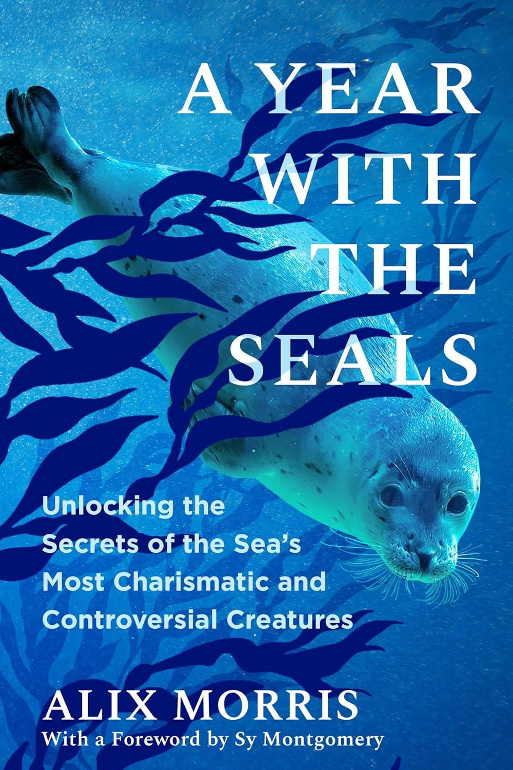 A Year with the Seals by Alix Morris