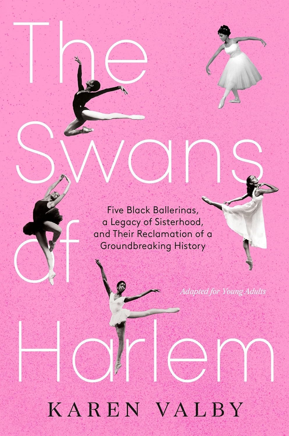book cover for the swans of harlem