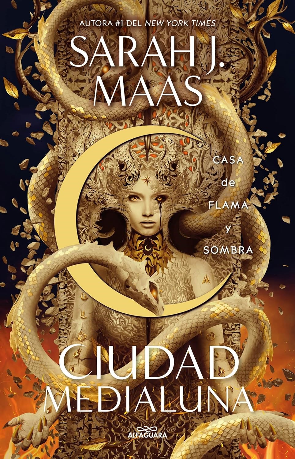Casa de Flama y Sombra by Sarah J Maas