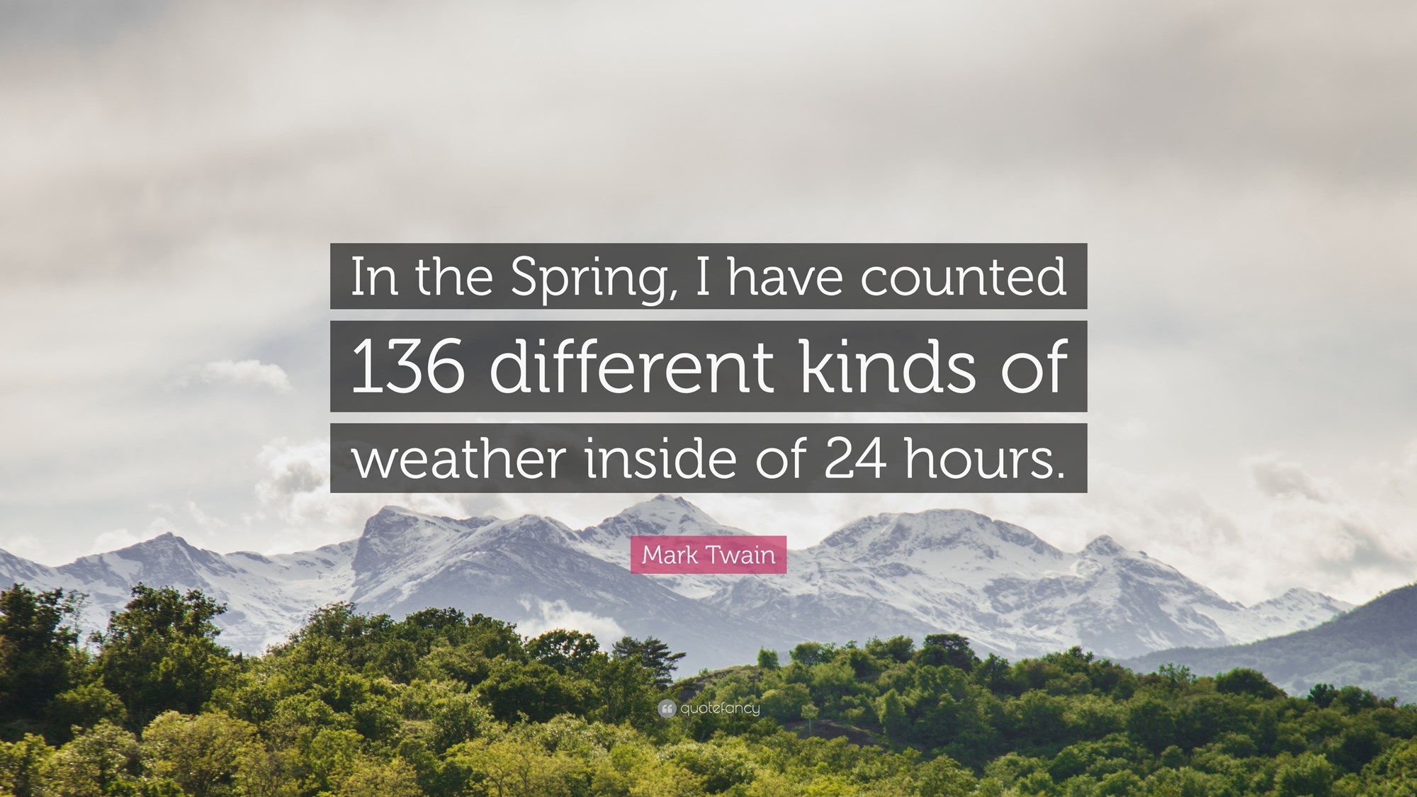 A red circle containing the quote with blossoming pink flowers as a background