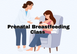 Prenatal Breastfeeding Class