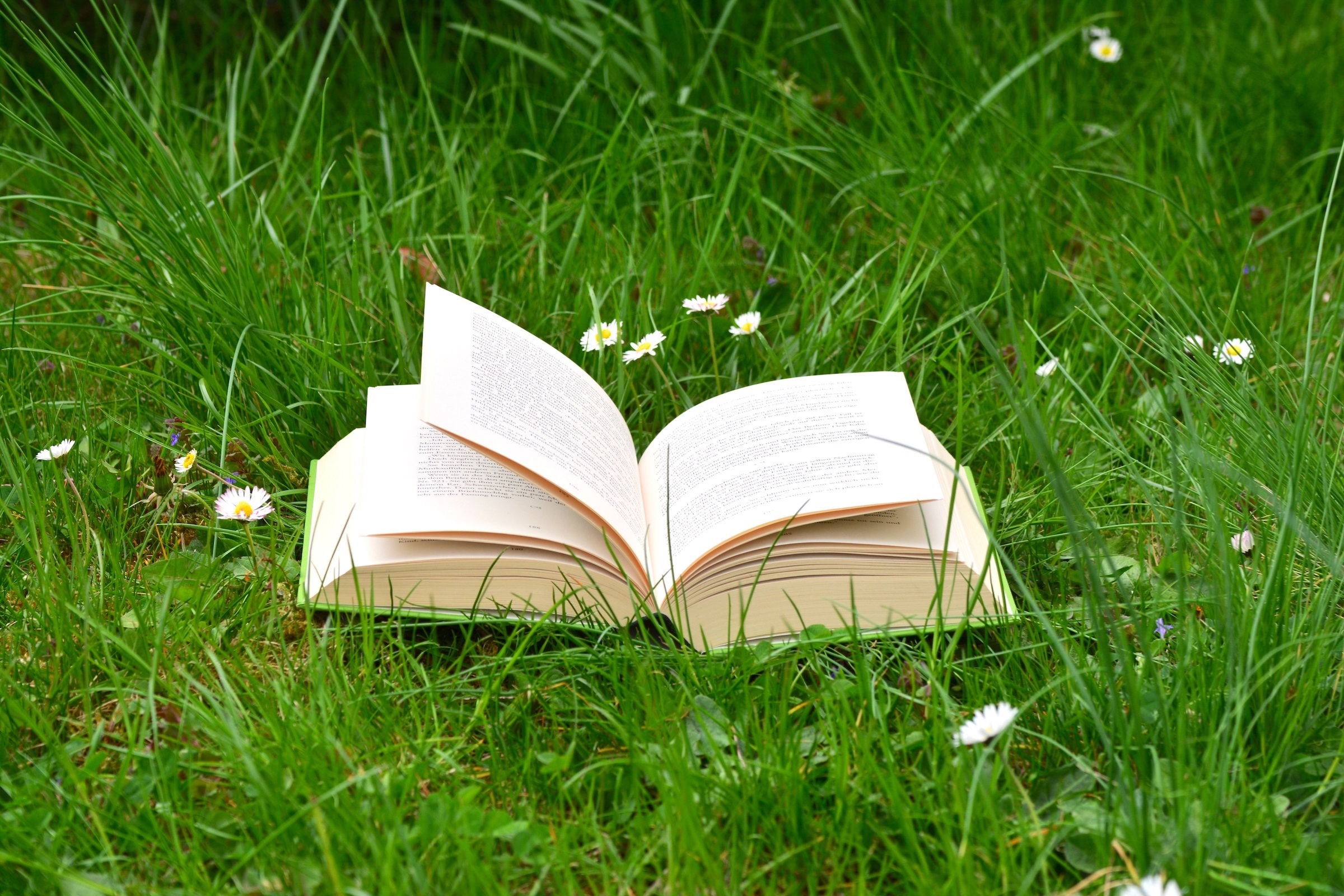 Open Book on the Grass with White Flowers