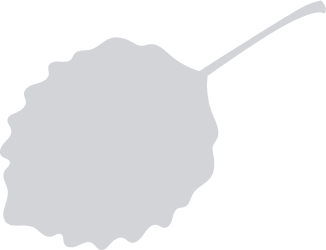 Falling Leaf Shadow