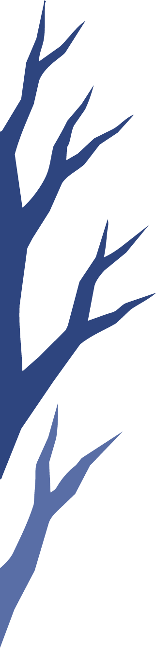 Tree Branches 1