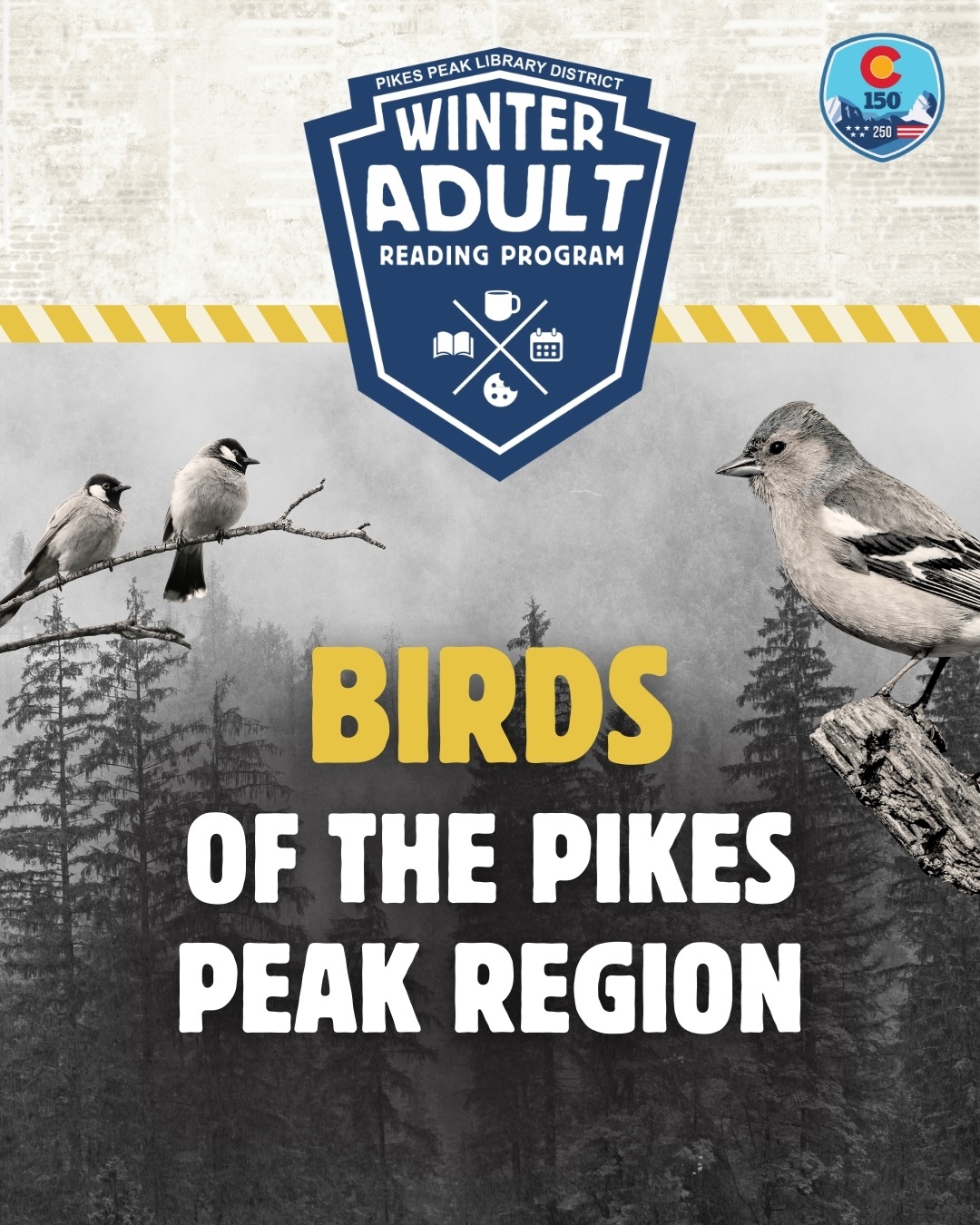 A wintery scene with the Winter Adult Reading Program logo on the top of the page and underneath it the words Birds of the Pikes Peak Region.