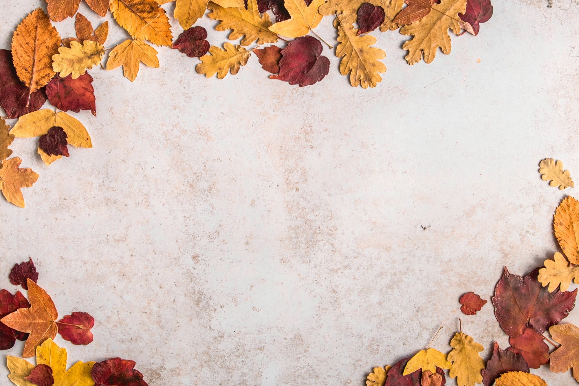 Fall Leaves on Blank Flatlay Background