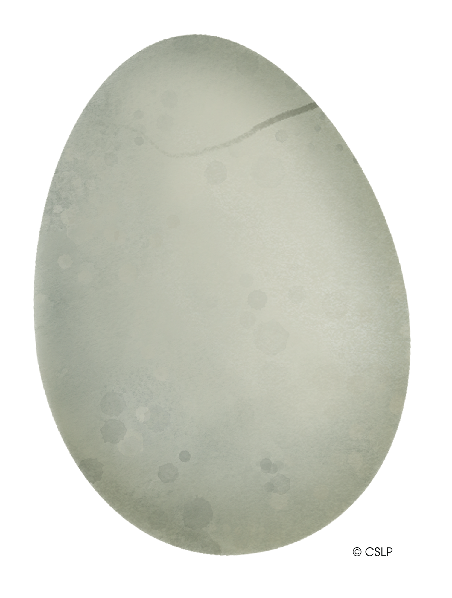 Dino Egg