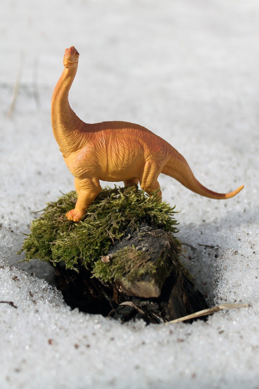 A toy dinosaur standing on moss