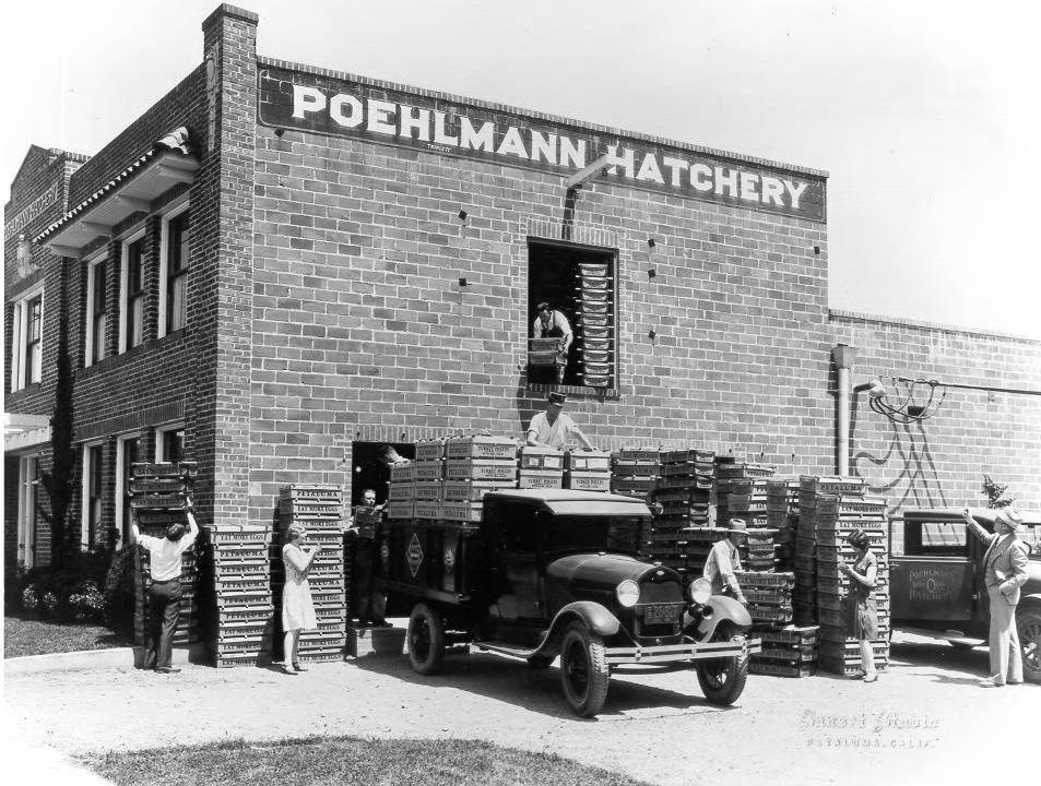 Poehlmann Hatchery