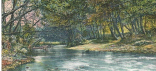 Romantic drawing of creek with trees.