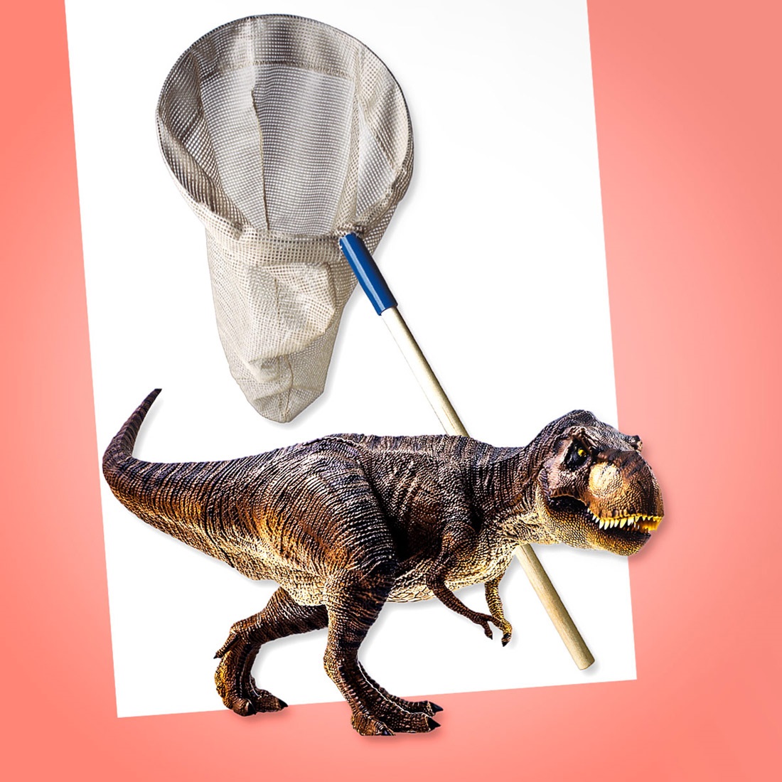 A Tyrannosauras Rex in front of a huge butterfly net.