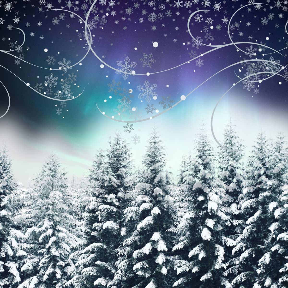 Picture depicts a wintery night sky, with snow and stars in the air.  On the bottom is snow capped pine trees.