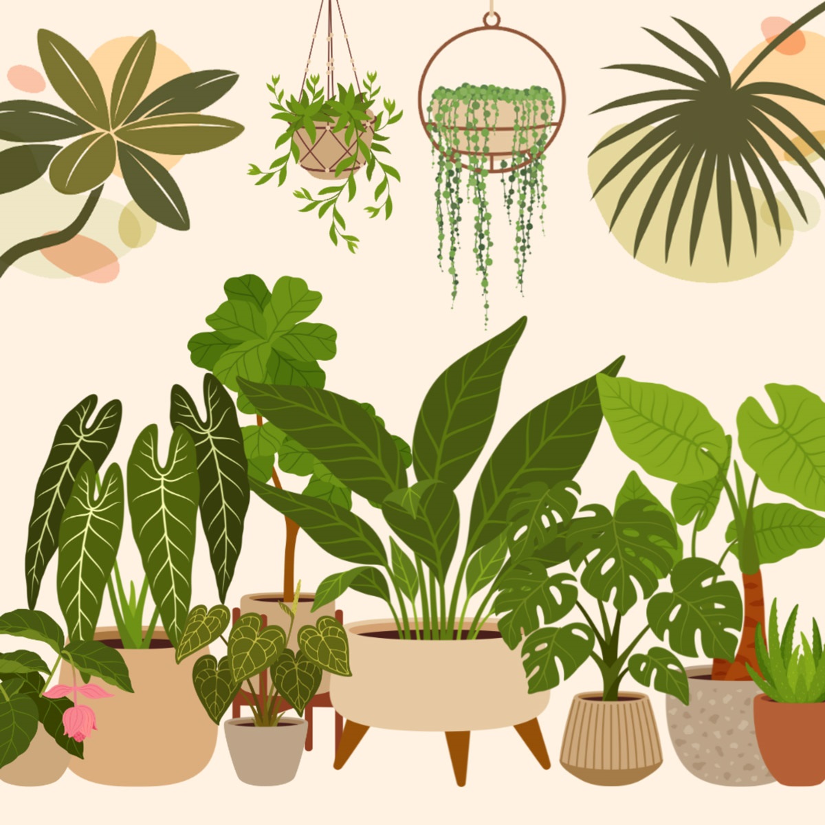 An illustration of a room full of plants.