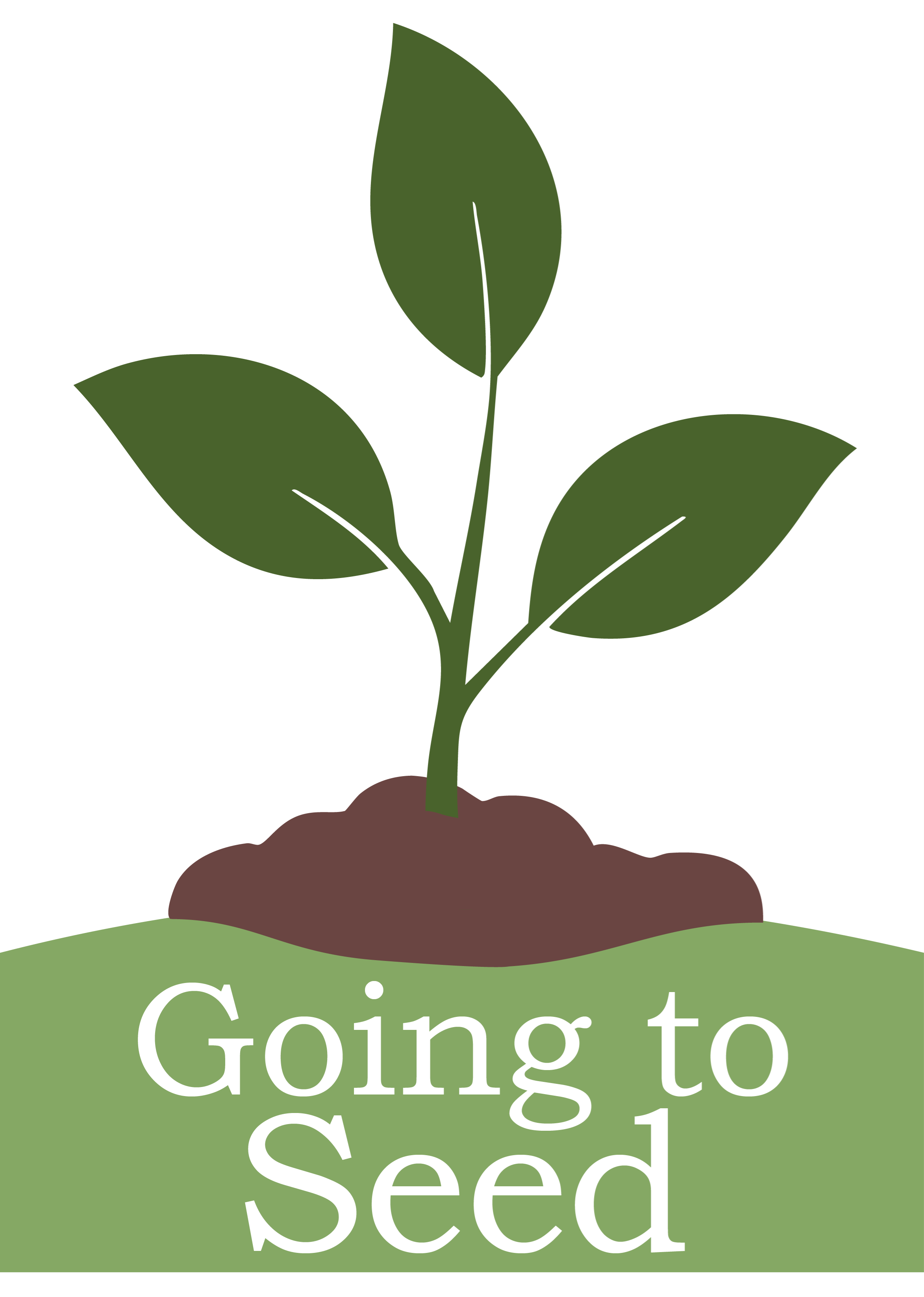 Image reads: Going to Seed and depicts a small three leaved plant growing out of a hill of dirt. Links to external site, opens in new tab or window.