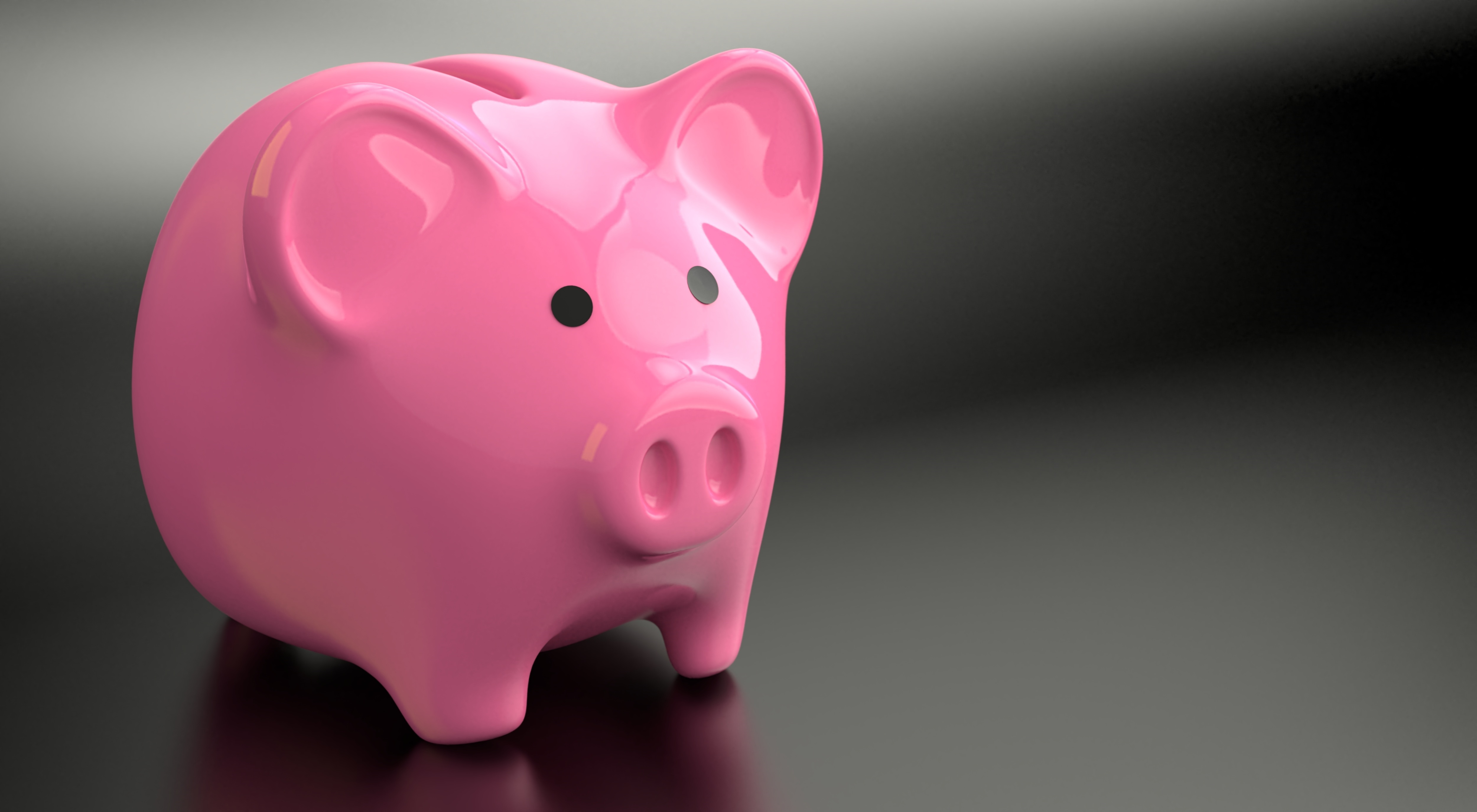 Image depicts a pink piggy bank on a gray background.