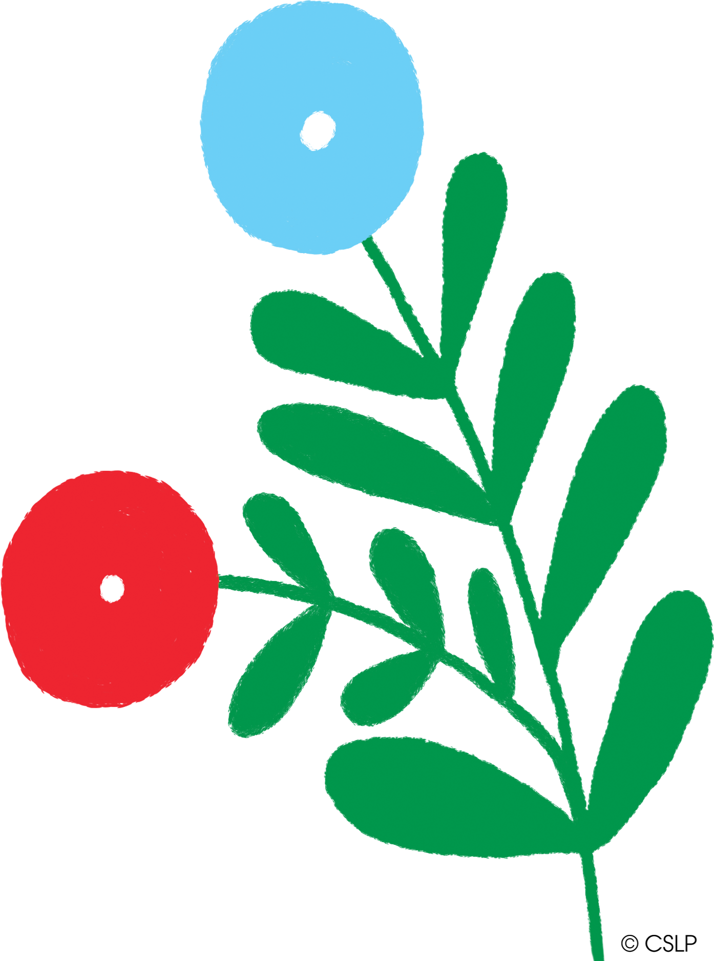 two flowers, one with red petals and one with blue