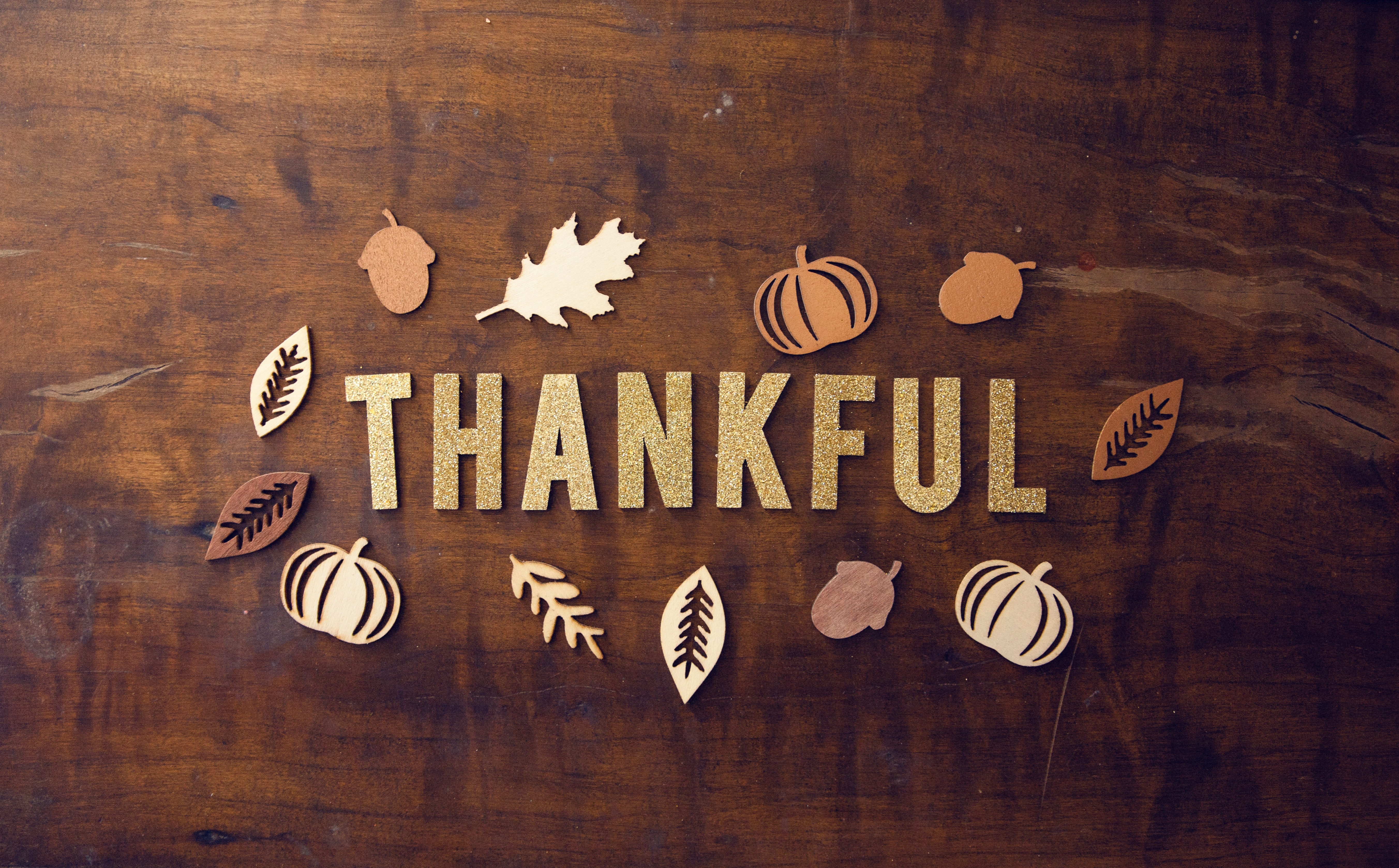 Brown background with word "Thankful" small leaves and pumpkins around word
