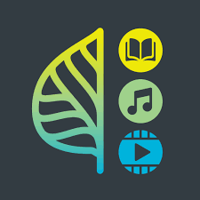 Image is the logo of Aspen Lida.  In colors fading from yellow to green to blue from top to bottom there is a drawing of a leaf on the right and on the left three small logo type images of a book, music notes, and a play button.