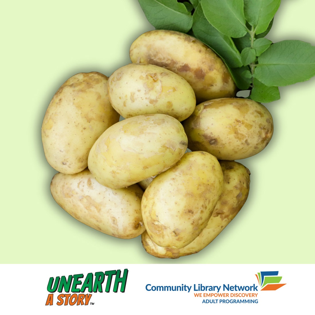 Potatoes bunched together with Unearth a Story banner and CLN logo