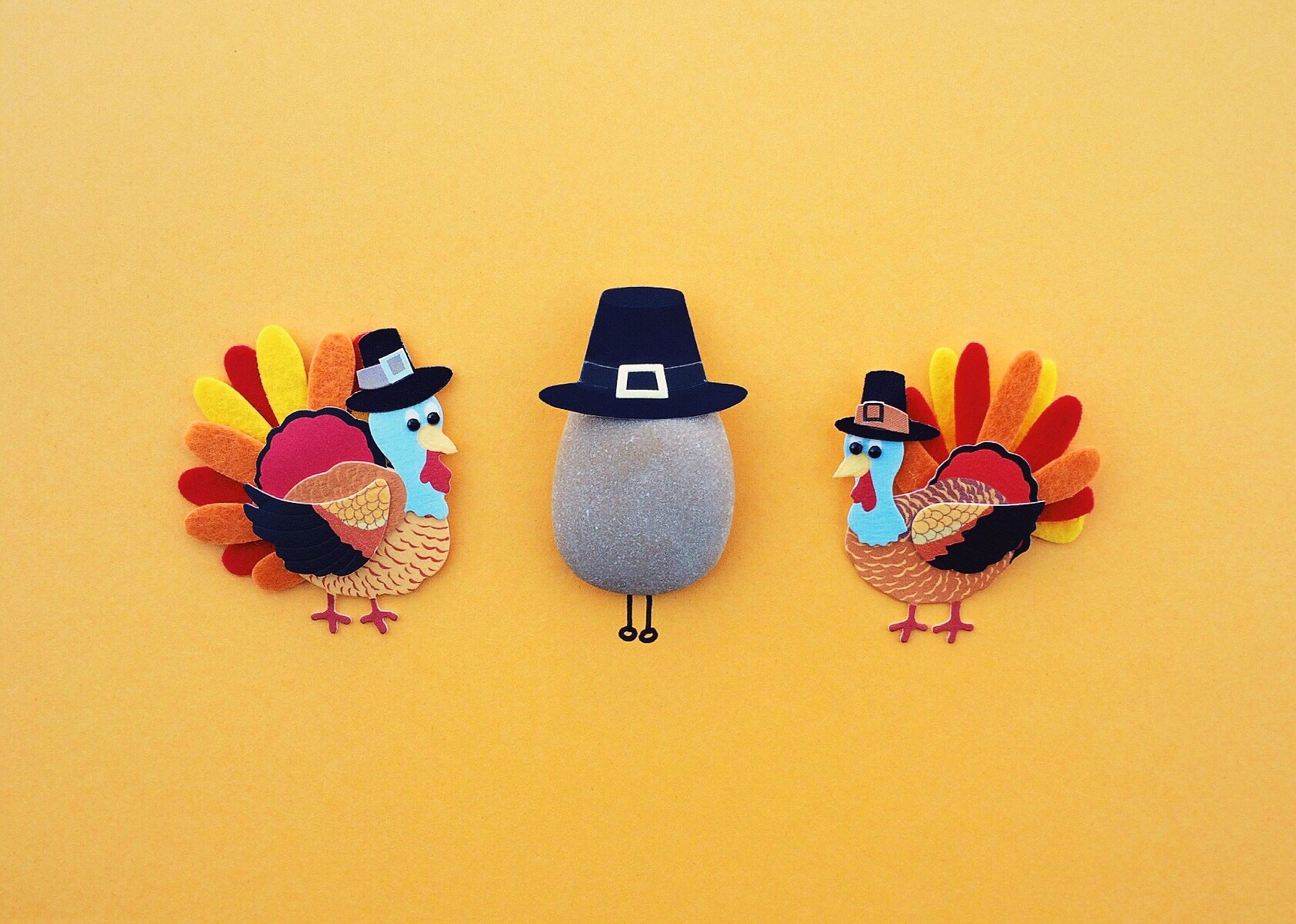 two colorful turkeys wearing hats on a yellow background, and rock wearing a pilgrim hat