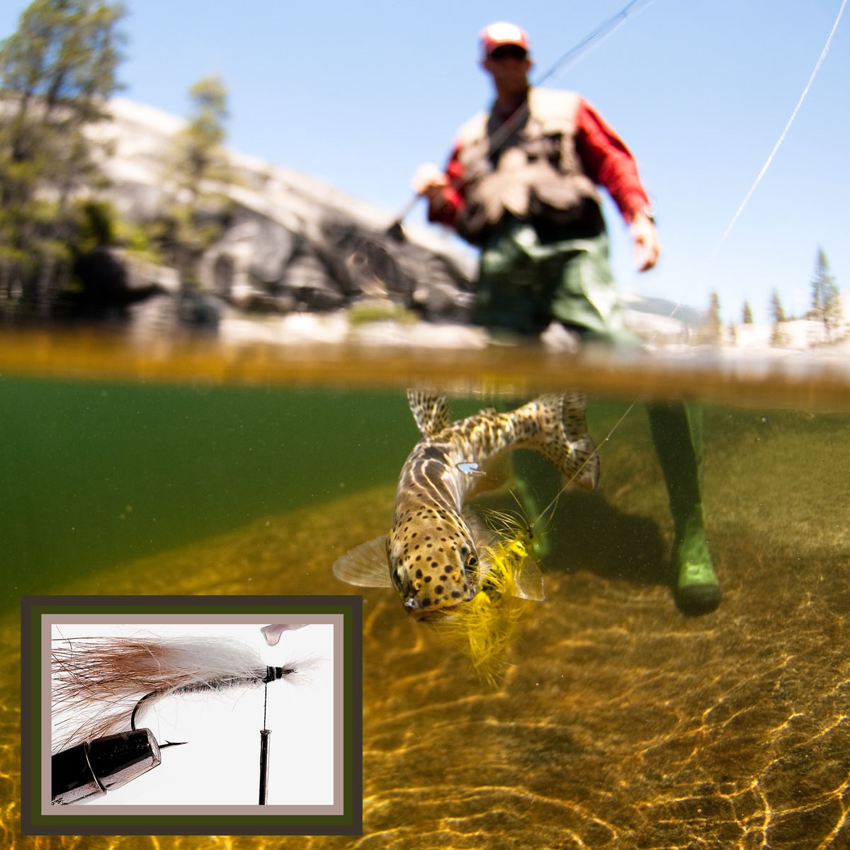 A fly fisherman and a fish.