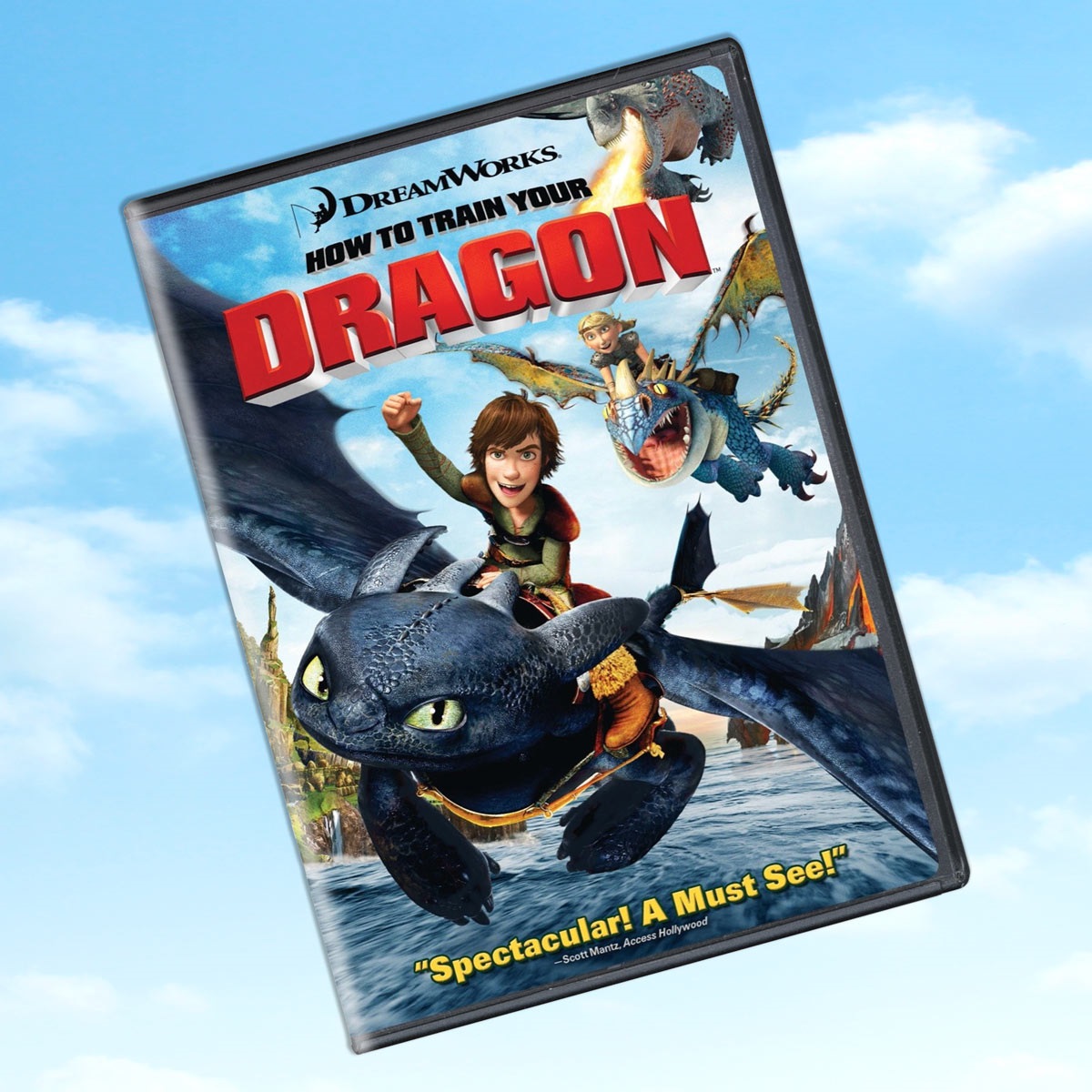 How to train your dragon movie poster
