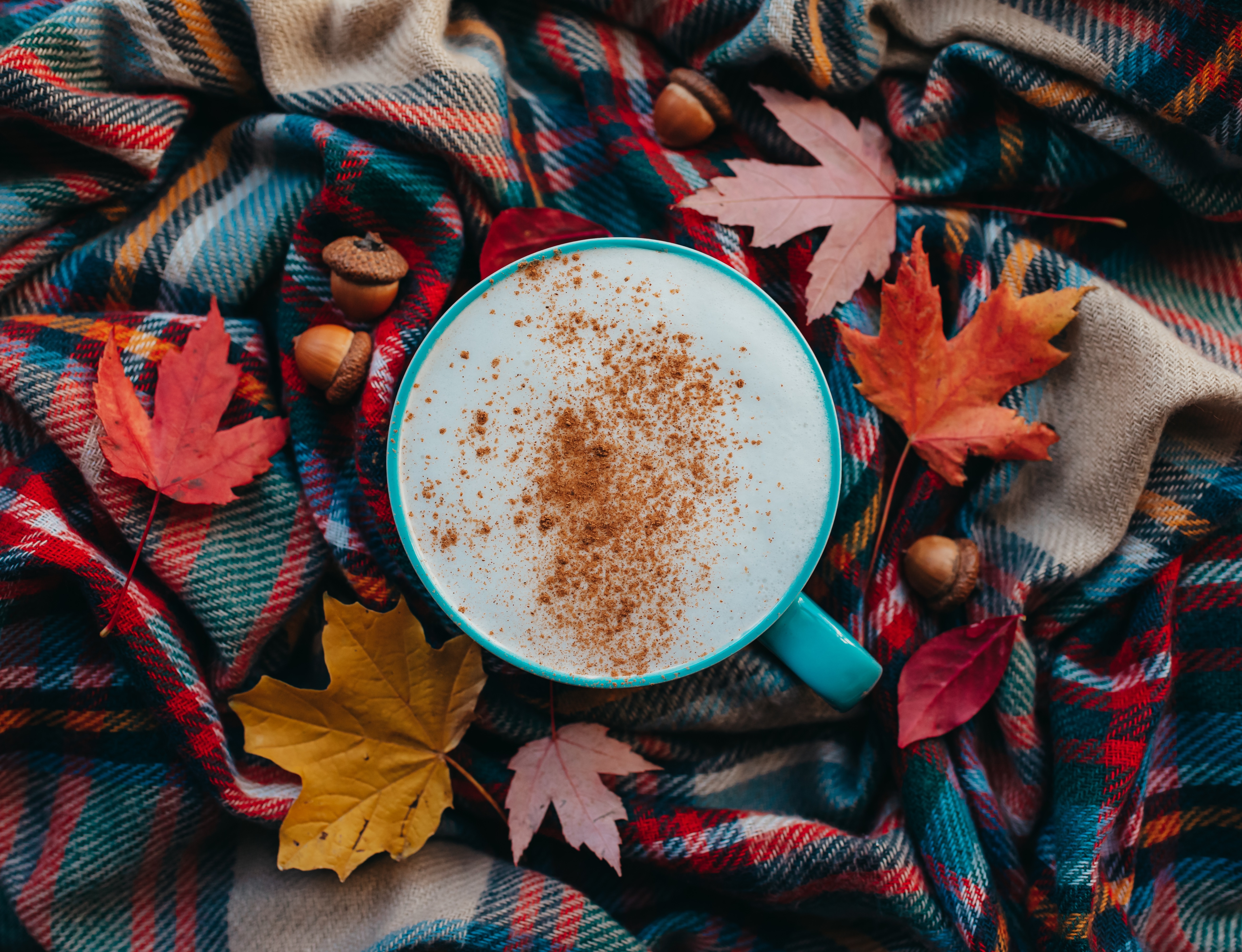 On a plaid blanket there are autumn leaves in a variety of fall colors and a foamy cup of coffee with cinnamon sprinkled on top.