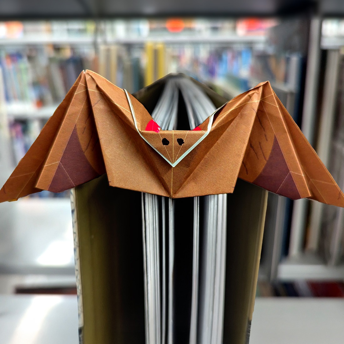 Picture depicts the top corner of a book, an origami bookmark folder to look like a bat is flying out of the pages.