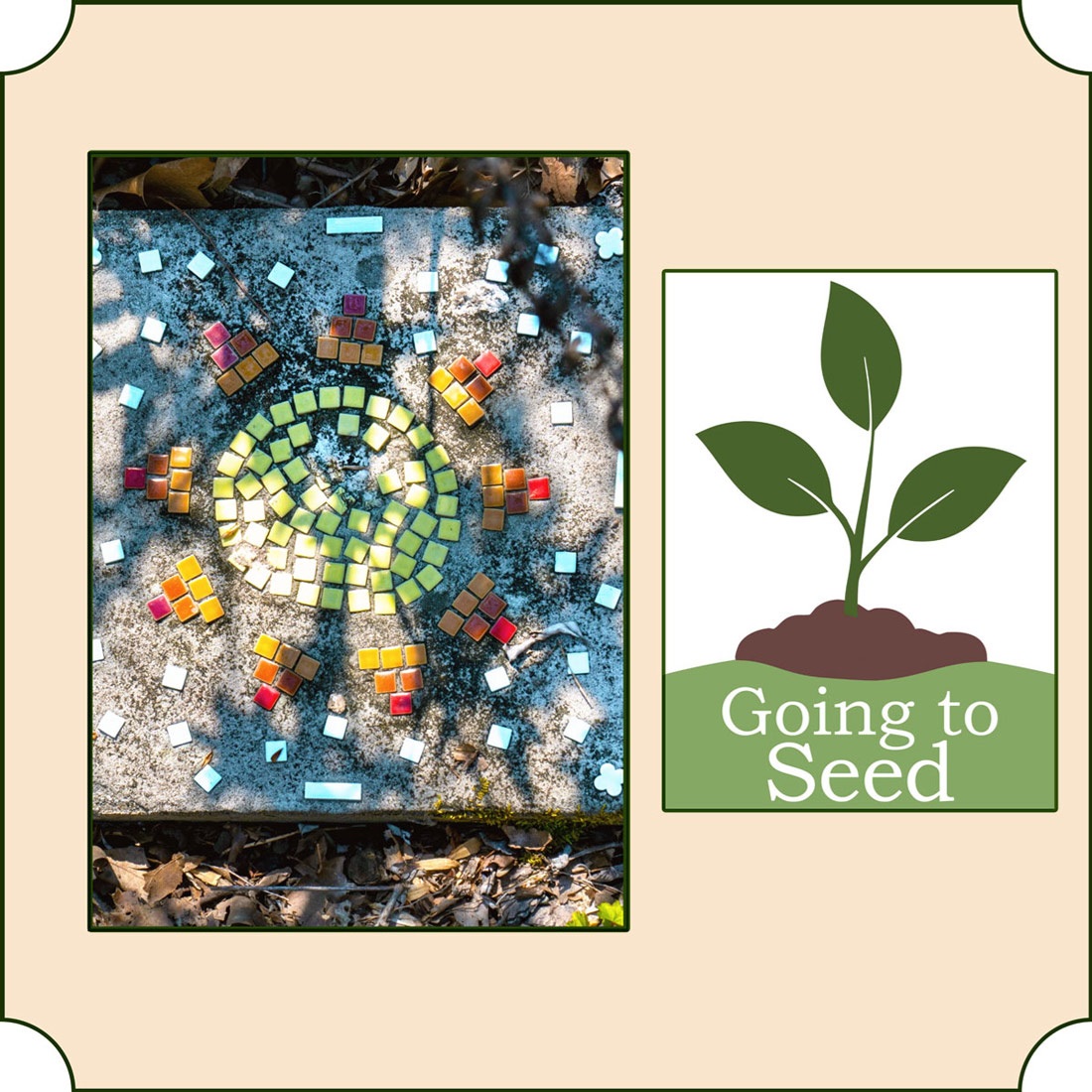 Home made stepping stone for someone's pathway or garden and the Going to Seed logo.