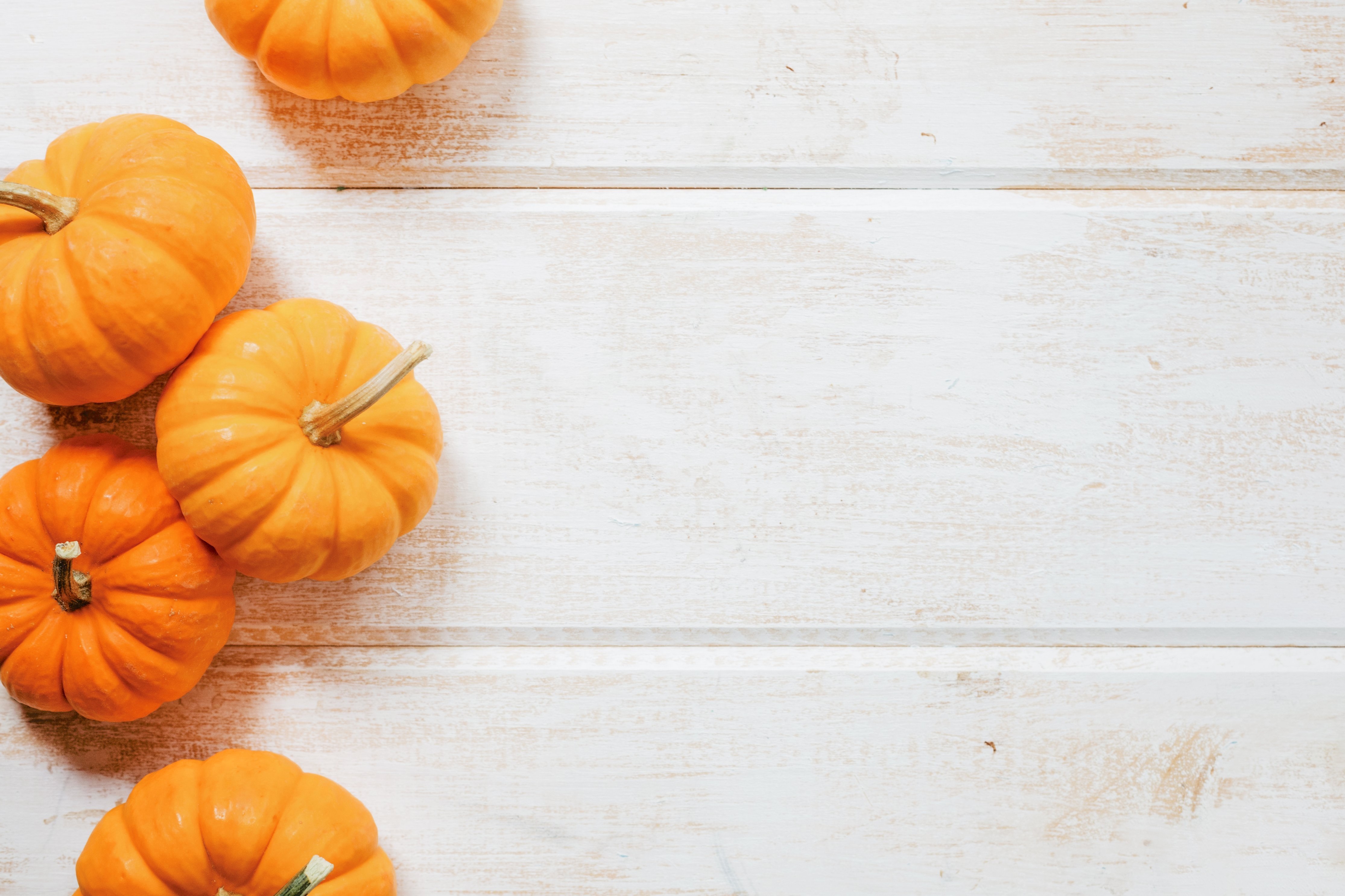 three small pumpkins on the left with a white background