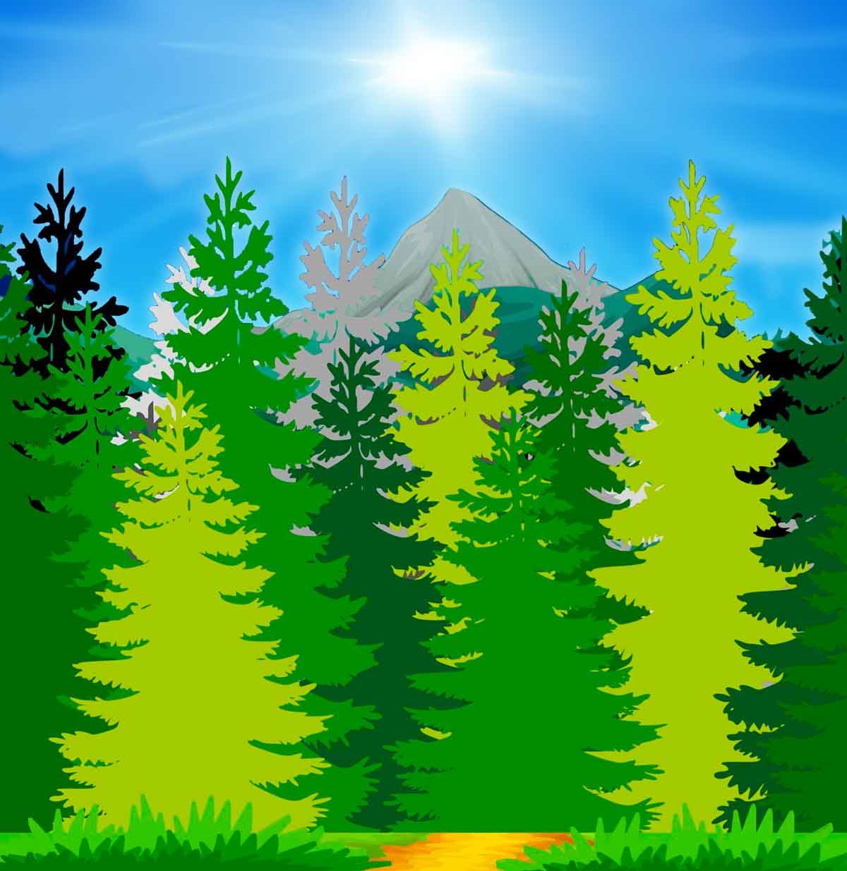 graphic image of trees in a forest