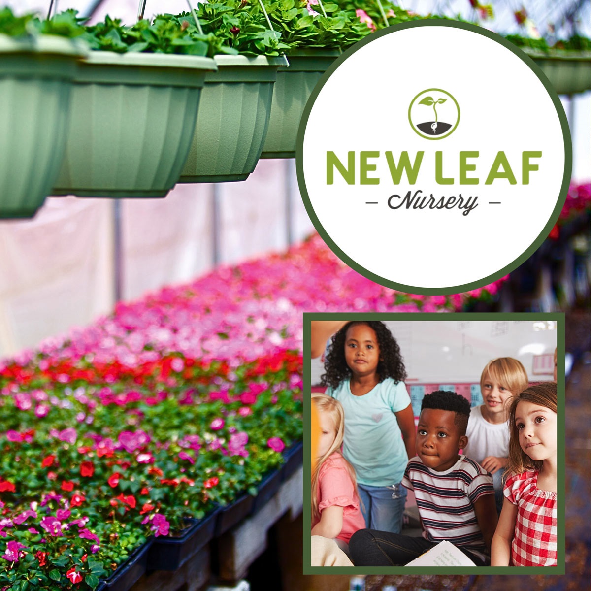flowers in a greenhouse with New Leaf Nursery logo