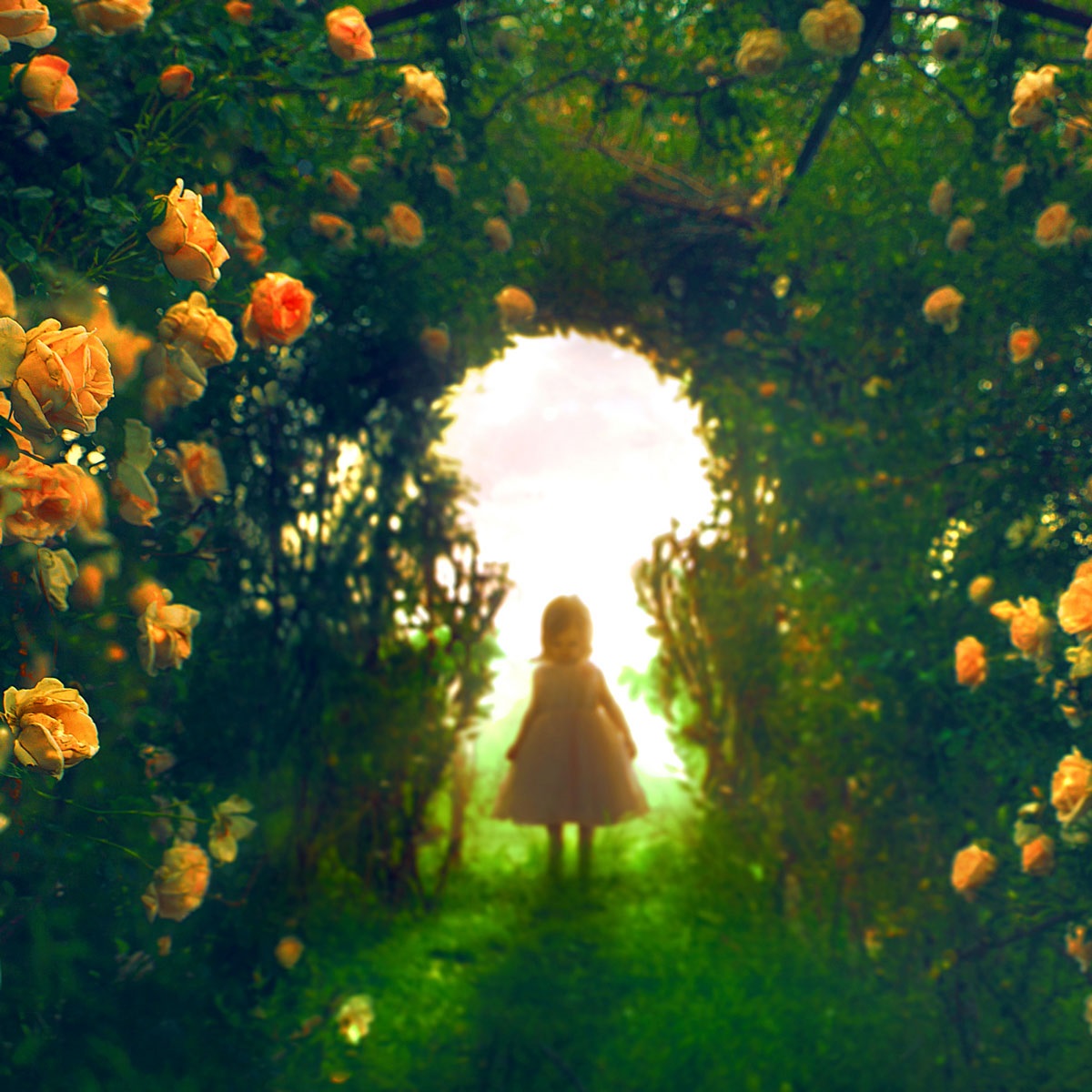 girl standing in garden walkway with orange flowers