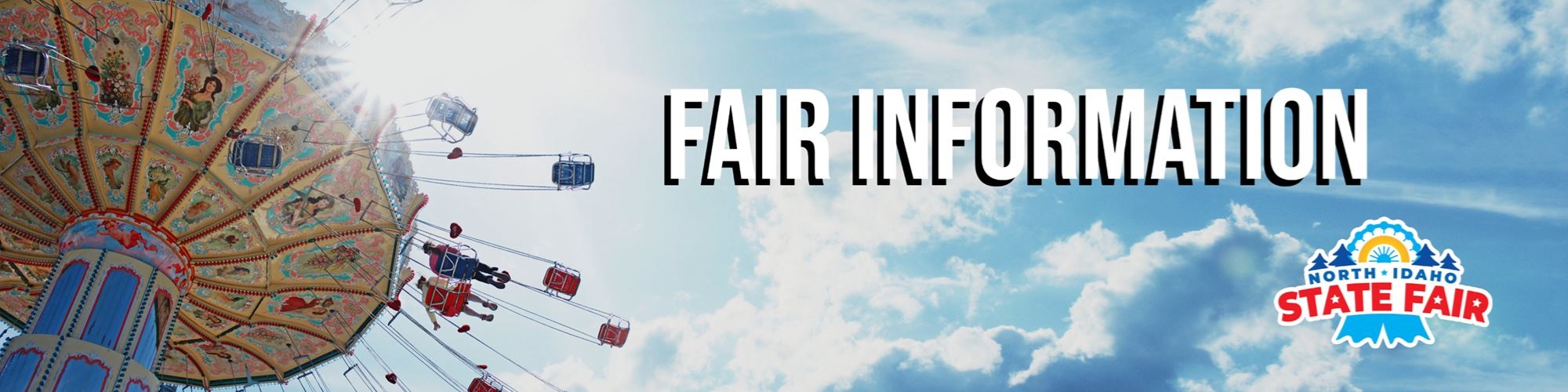 Swing style carnival ride