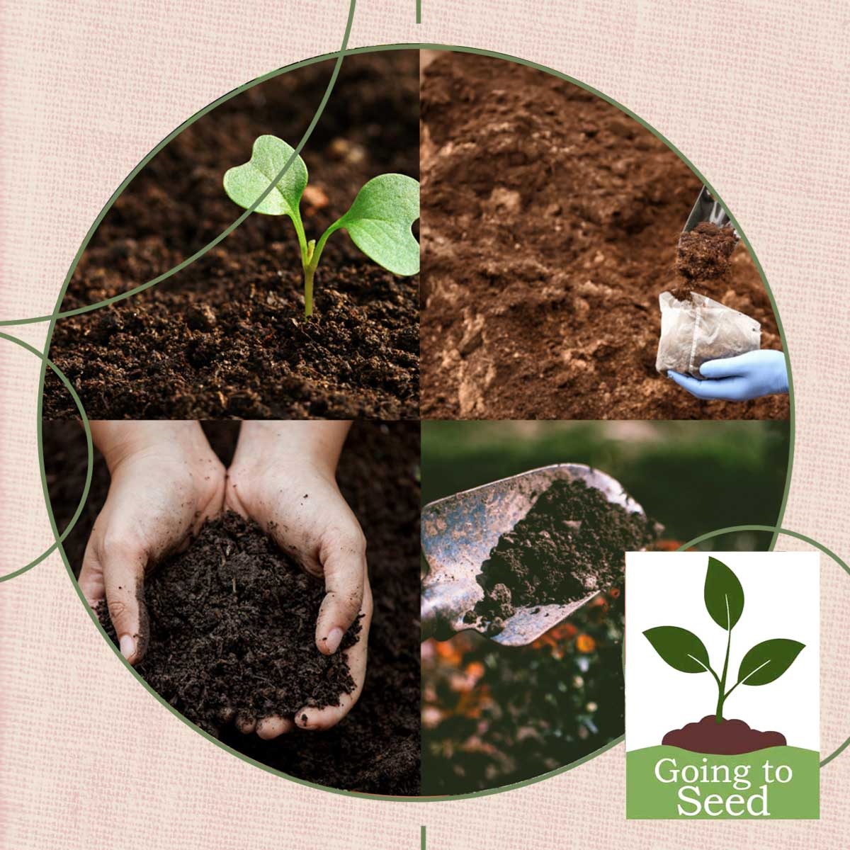 Picture is a circle split into quarters showing a variety of soil mixes.