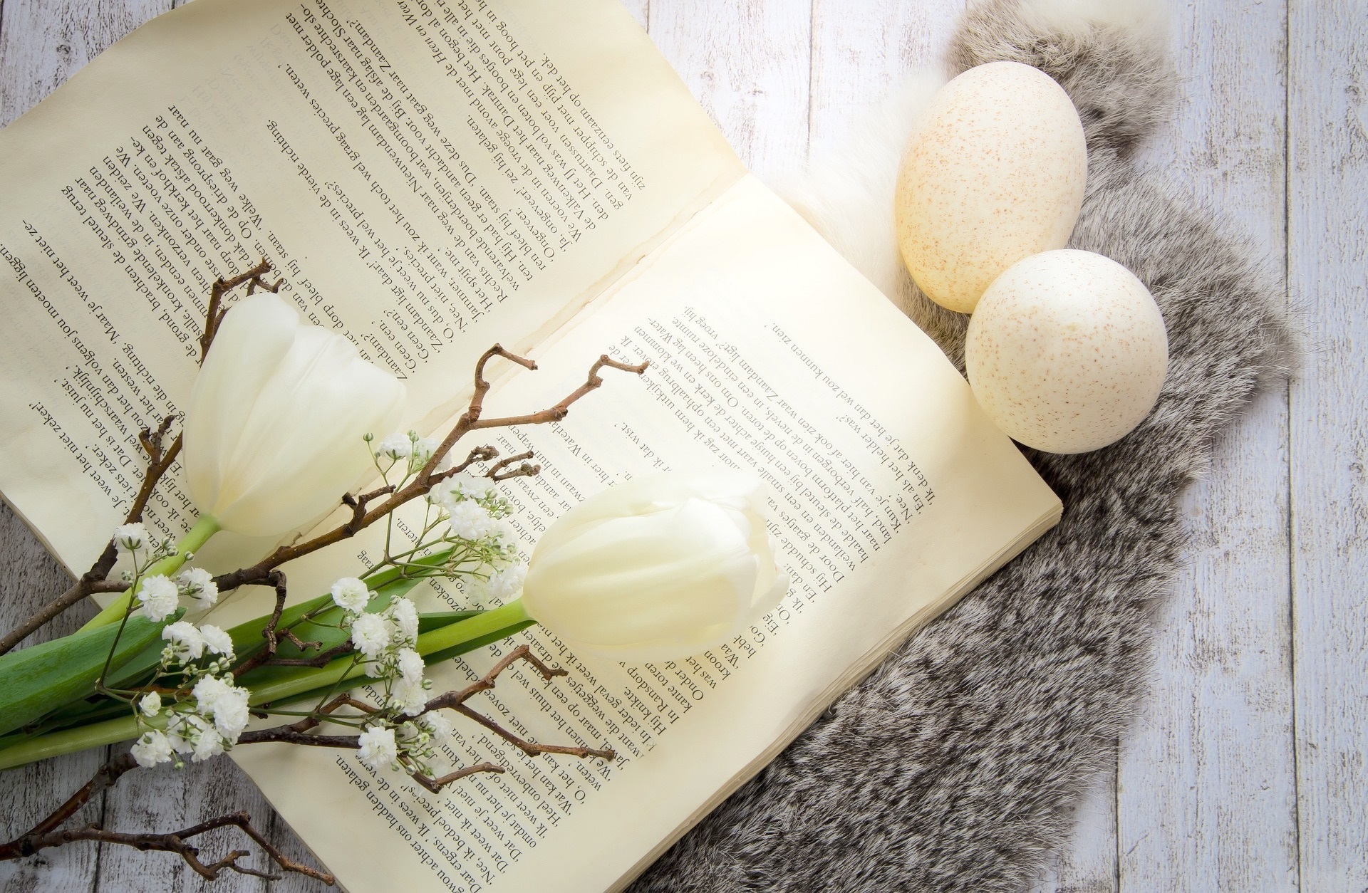 Book on Spring Background