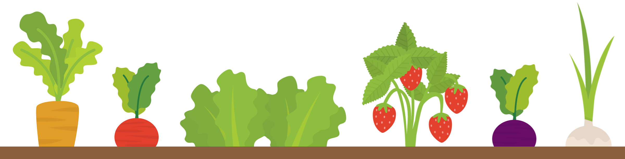 Vegetable Garden